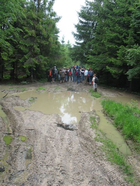 przylenkow (200)